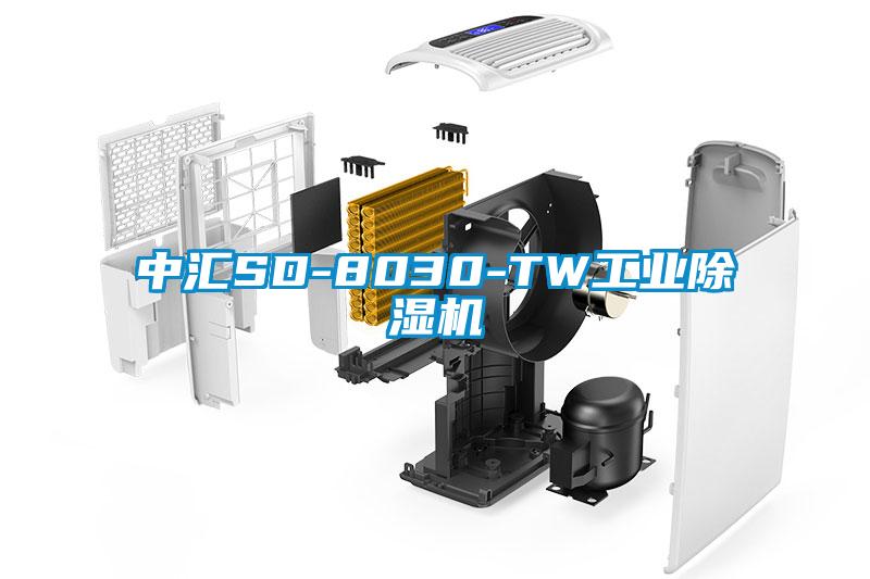 中汇SD-8030-TW工业91抖音免费看片