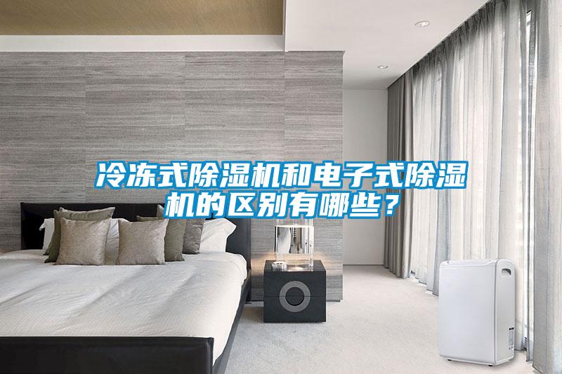 冷冻式91抖音免费看片和电子式91抖音免费看片的区别有哪些？