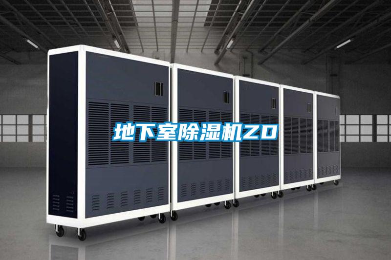 地下室91抖音免费看片ZD