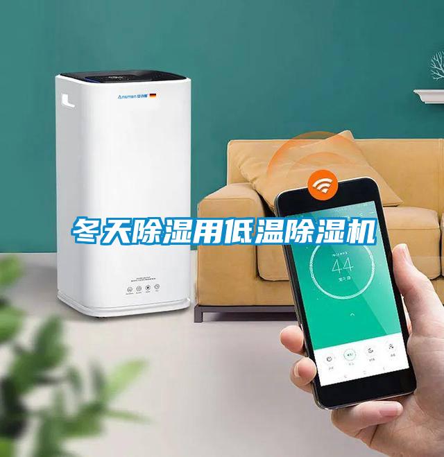 冬天除湿用低温91抖音免费看片