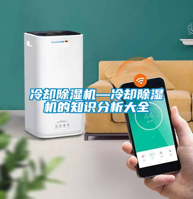 冷却91抖音免费看片—冷却91抖音免费看片的知识分析大全