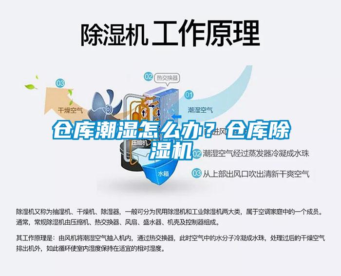 仓库潮湿怎么办？仓库91抖音免费看片