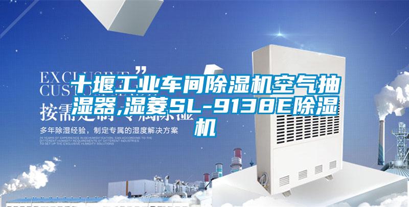 十堰工业车间91抖音免费看片空气抽湿器,湿菱SL-9138E91抖音免费看片