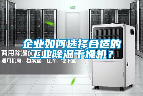 企业如何选择合适的工业除湿干燥机？
