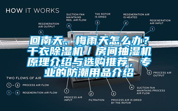 回南天、梅雨天怎么办？干衣91抖音免费看片／房间抽湿机原理介绍与选购推荐，专业的防潮用品介绍