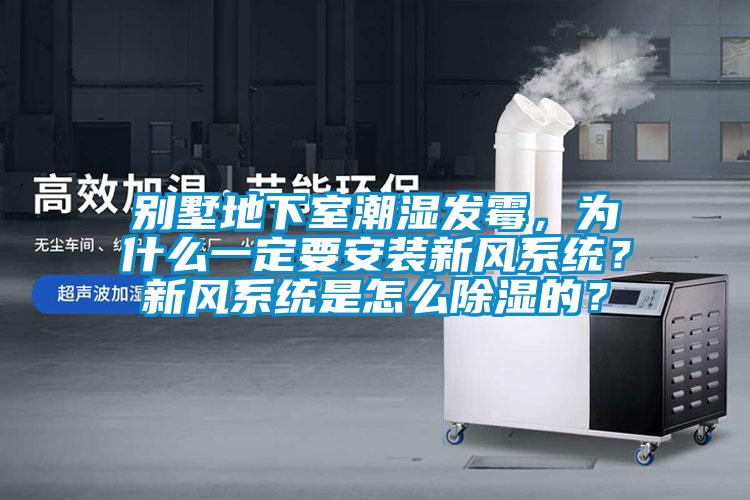 别墅地下室潮湿发霉，为什么一定要安装新风系统？新风系统是怎么除湿的？