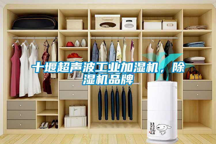 十堰超声波工业加湿机，91抖音免费看片品牌