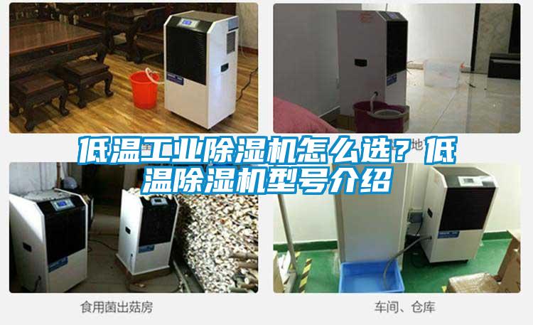 低温工业91抖音免费看片怎么选？低温91抖音免费看片型号介绍