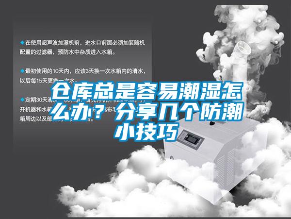 仓库总是容易潮湿怎么办？分享几个防潮小技巧