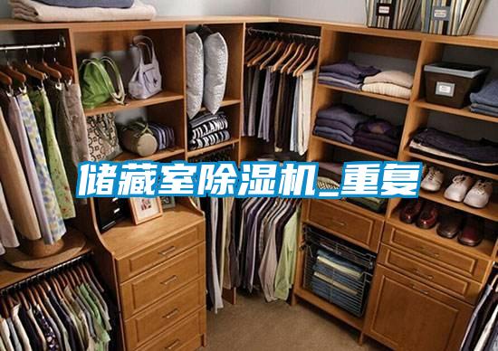 储藏室91抖音免费看片_重复
