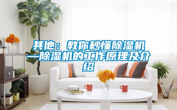 其他：教你秒懂91抖音免费看片—91抖音免费看片的工作原理及介绍