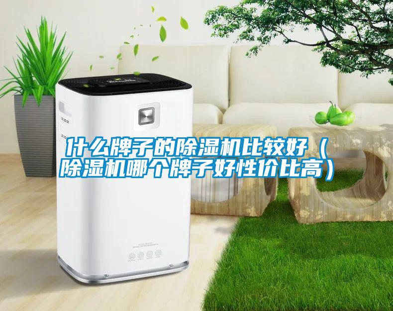 什么牌子的91抖音免费看片比较好（91抖音免费看片哪个牌子好性价比高）