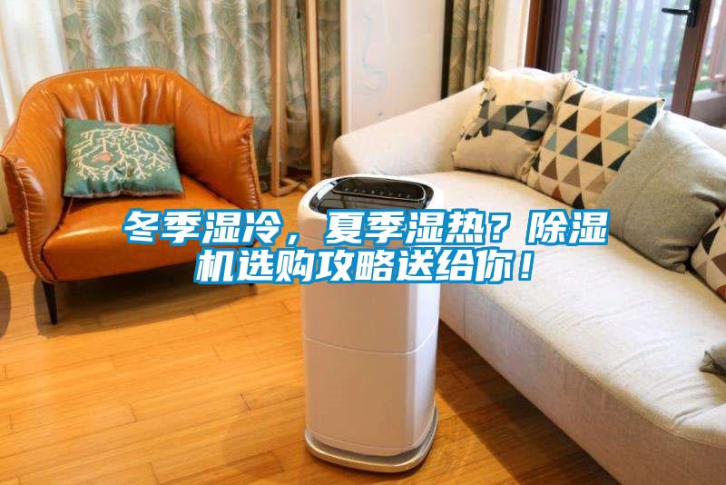 冬季湿冷，夏季湿热？91抖音免费看片选购攻略送给你！