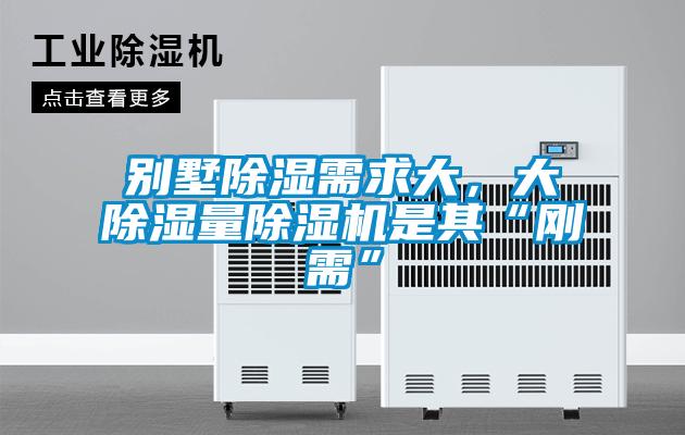 别墅除湿需求大，大除湿量91抖音免费看片是其“刚需”
