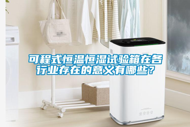 可程式恒温恒湿试验箱在各行业存在的意义有哪些？