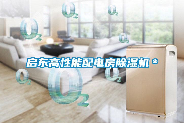 启东高性能配电房91抖音免费看片＊