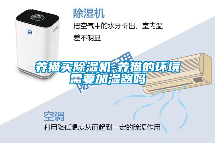 养猫买91抖音免费看片-养猫的环境需要加湿器吗
