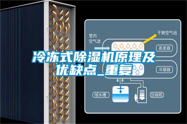 冷冻式91抖音免费看片原理及优缺点_重复
