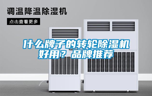 什么牌子的转轮91抖音免费看片好用？品牌推荐