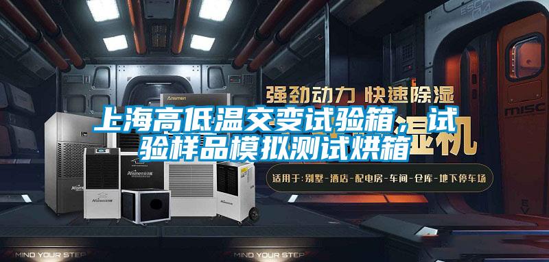 上海高低温交变试验箱，试验样品模拟测试烘箱