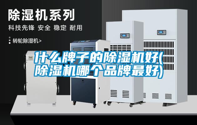 什么牌子的91抖音免费看片好(91抖音免费看片哪个品牌最好)