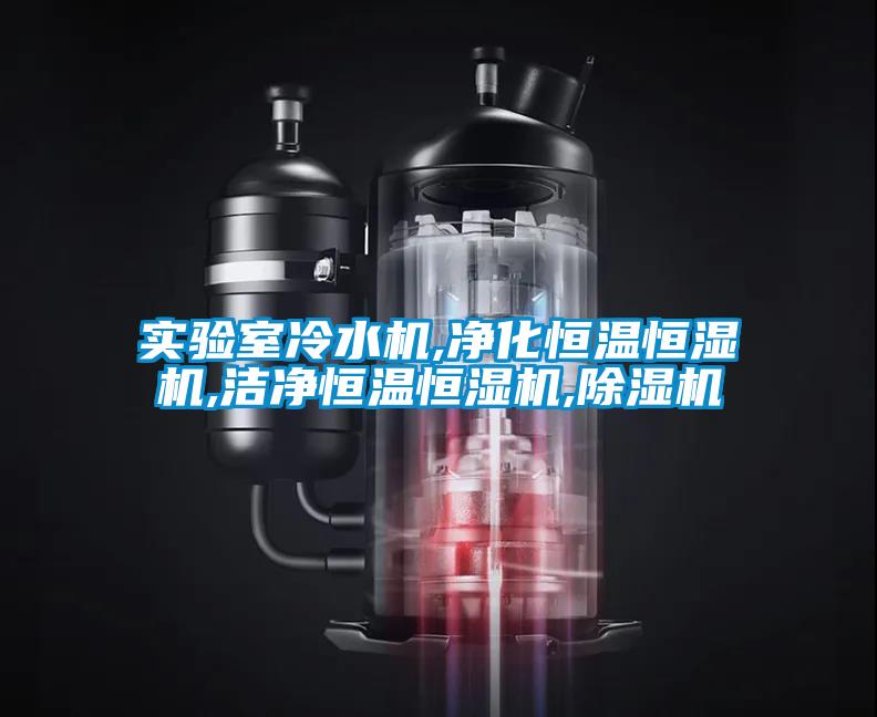 实验室冷水机,净化恒温恒湿机,洁净恒温恒湿机,91抖音免费看片