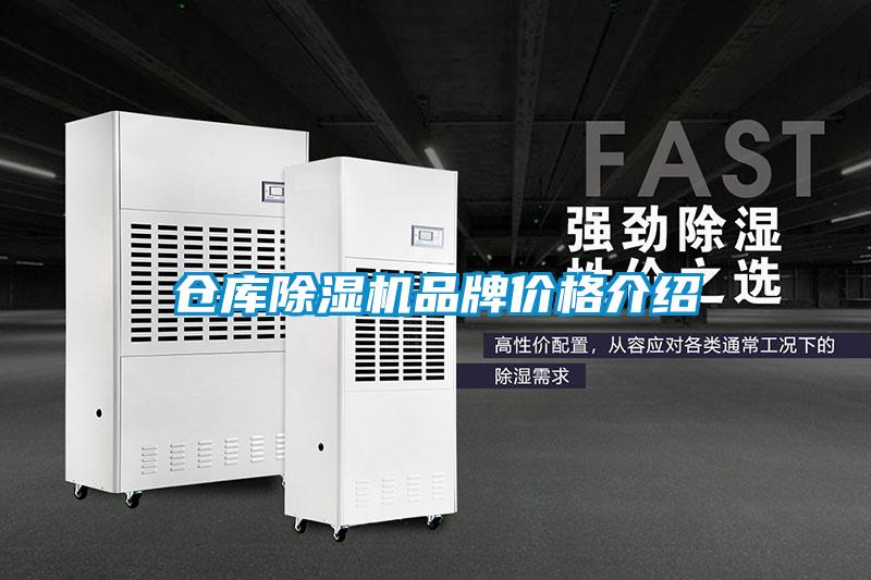 仓库91抖音免费看片品牌价格介绍