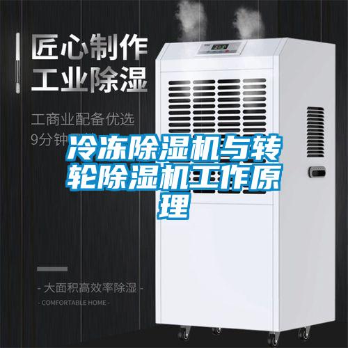 冷冻91抖音免费看片与转轮91抖音免费看片工作原理