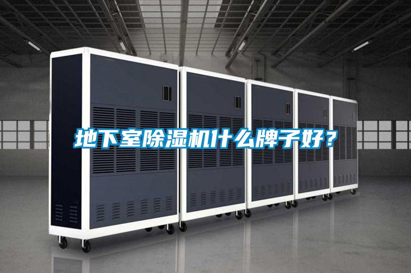 地下室91抖音免费看片什么牌子好？