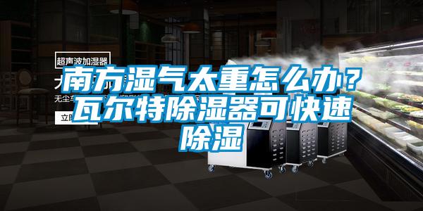 南方湿气太重怎么办？瓦尔特除湿器可快速除湿