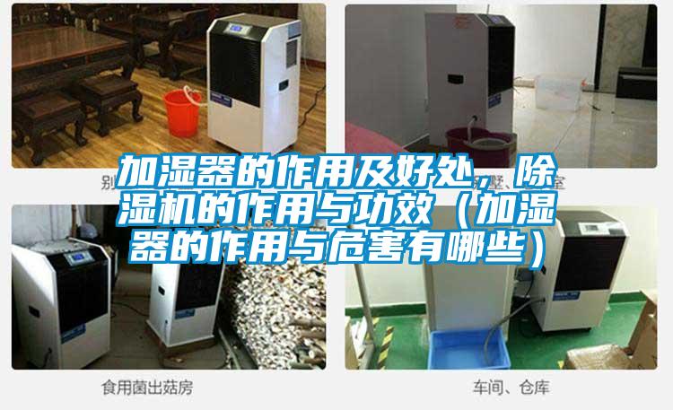 加湿器的作用及好处，91抖音免费看片的作用与功效（加湿器的作用与危害有哪些）