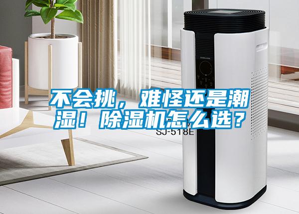 不会挑，难怪还是潮湿！91抖音免费看片怎么选？