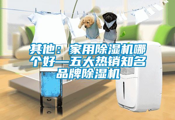 其他：家用91抖音免费看片哪个好—五大热销知名品牌91抖音免费看片