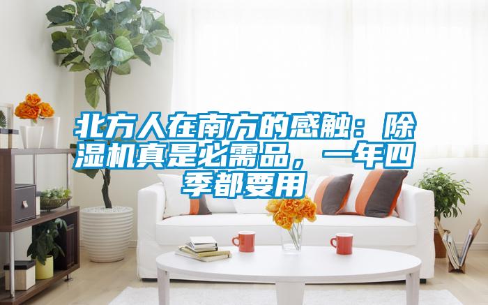 北方人在南方的感触：91抖音免费看片真是必需品，一年四季都要用