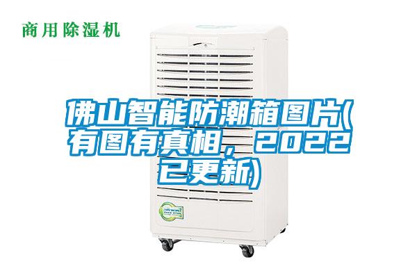 佛山智能防潮箱图片(有图有真相，2022已更新)