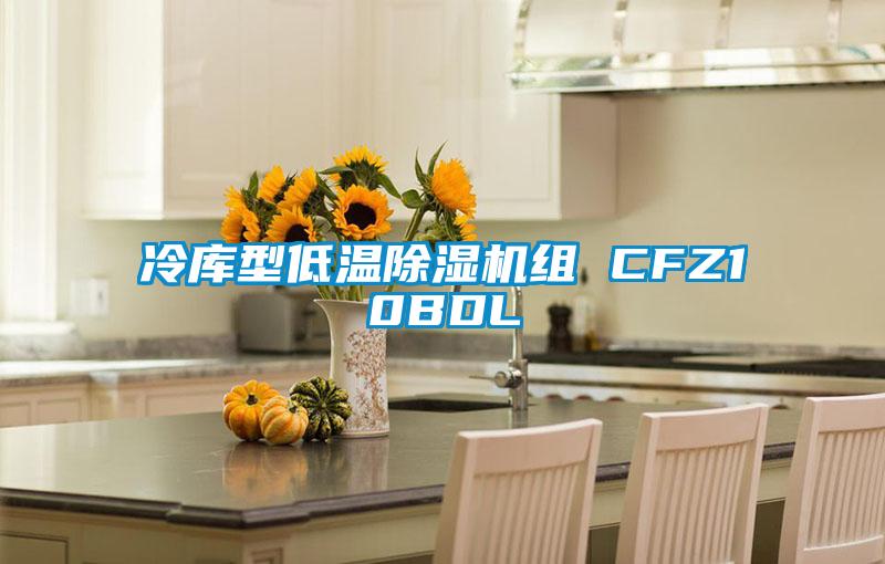 冷库型低温91抖音免费看片组 CFZ10BDL