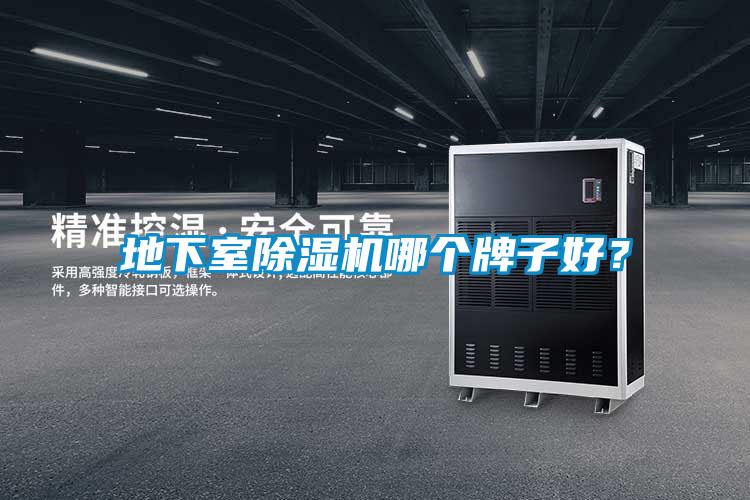 地下室91抖音免费看片哪个牌子好？