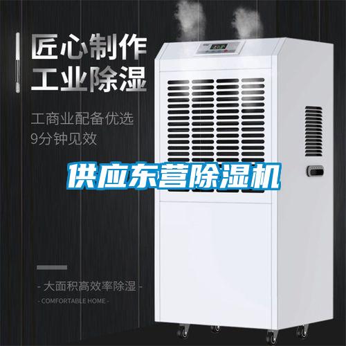 供应东营91抖音免费看片