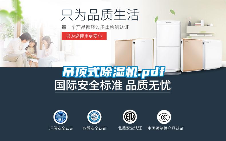 吊顶式91抖音免费看片.pdf