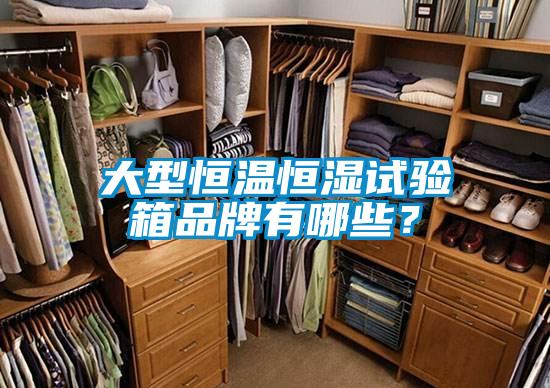 大型恒温恒湿试验箱品牌有哪些？