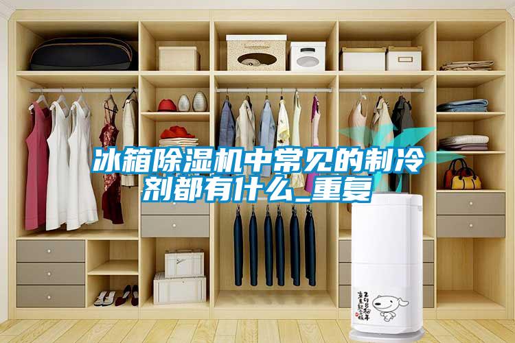 冰箱91抖音免费看片中常见的制冷剂都有什么_重复
