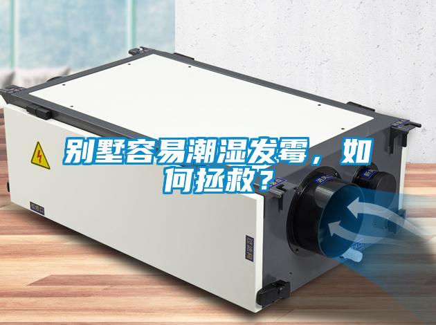 别墅容易潮湿发霉，如何拯救？