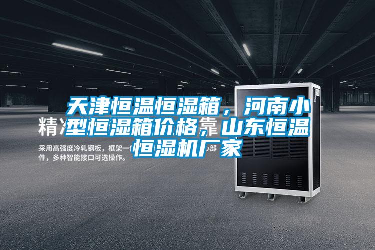 天津恒温恒湿箱，河南小型恒湿箱价格，山东恒温恒湿机厂家