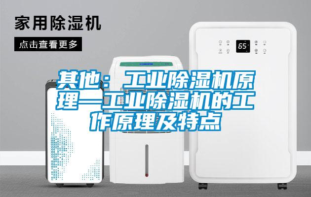 其他：工业91抖音免费看片原理—工业91抖音免费看片的工作原理及特点