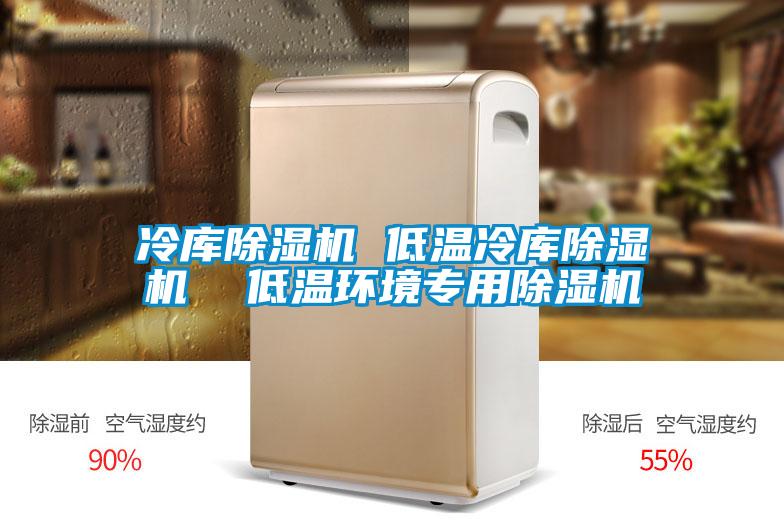 冷库91抖音免费看片 低温冷库91抖音免费看片  低温环境专用91抖音免费看片