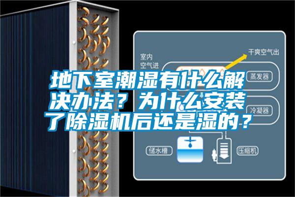 地下室潮湿有什么解决办法？为什么安装了91抖音免费看片后还是湿的？