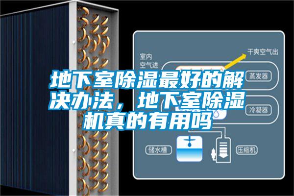 地下室除湿最好的解决办法，地下室91抖音免费看片真的有用吗