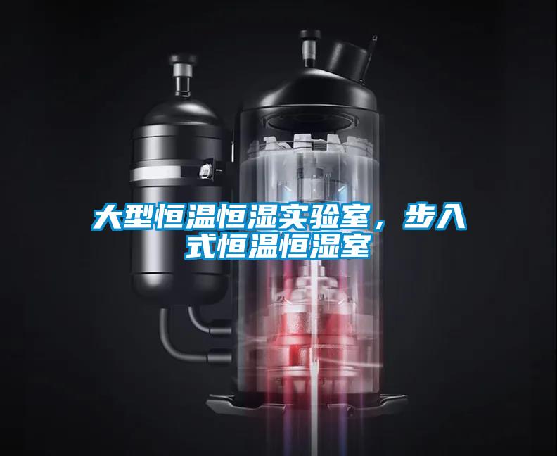 大型恒温恒湿实验室，步入式恒温恒湿室
