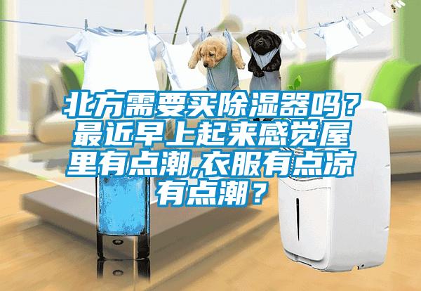 北方需要买除湿器吗？最近早上起来感觉屋里有点潮,衣服有点凉有点潮？