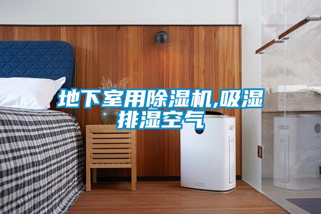 地下室用91抖音免费看片,吸湿排湿空气